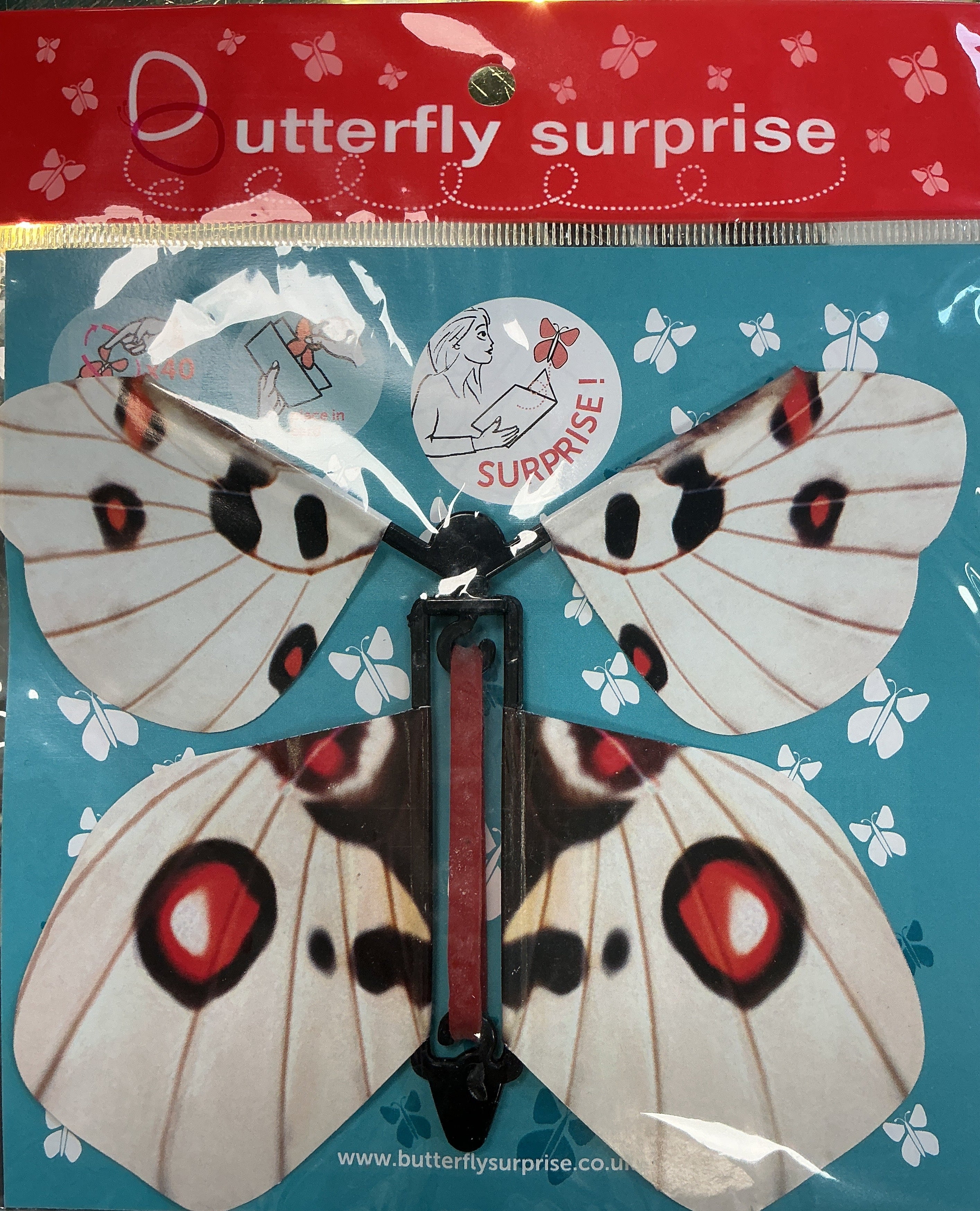 Butterfly surprise