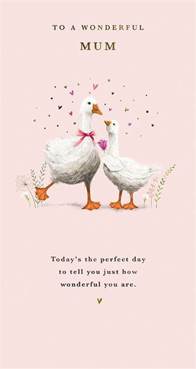 Wonderful Mum - Birthday Card