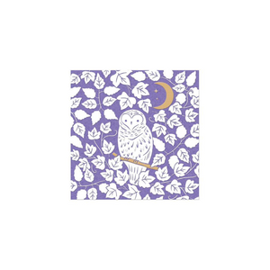 Owl- blank card