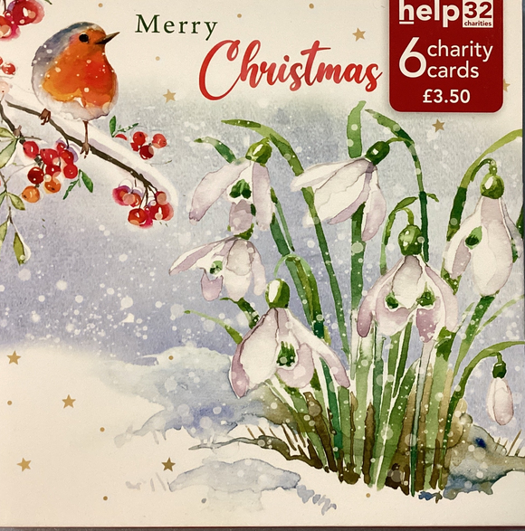Christmas robins - Pack of 6 Charity Christmas cards