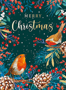 Robins and berries  - Pack of 8 Charity Christmas cards