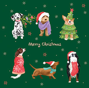 Christmas dogs - Box of 12 Christmas cards