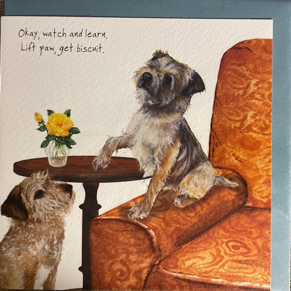 Little Dog Laughed Paws Up - Funny Card