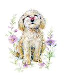 Dog with butterfly - Pack of 4 mini notelets