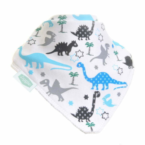 Dinosaur Dribble Bib