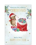 Wishing you a Merry Christmas card
