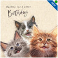 Kitten Trio - Birthday Card