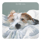 Little Dog Laughed Scruffy Love - Coaster