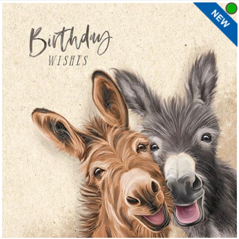 Donkey Duo - Birthday Card