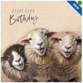 Sheep Trio - Birthday Card
