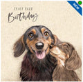 Sausage Dogs - Birthday Card