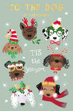 To The Dog Christmas card