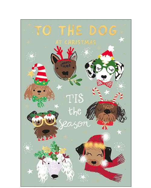 To The Dog Christmas card