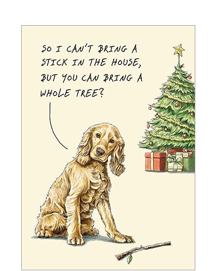 Add some festive humour to your holiday greetings with this funny Christmas card from the Bewilderbeest range. Featuring a charming illustration of a dog with a stick, sitting in front of a beautifully decorated Christmas tree.  The witty caption on the front reads: 