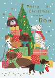 From the dog at Christmas card