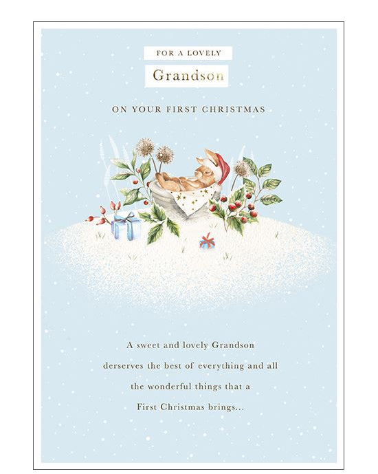 Grandson's First Christmas card