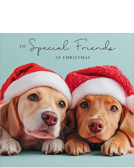 Special Friends Christmas card