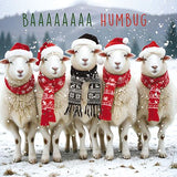 BAAAA Humbug! Christmas card