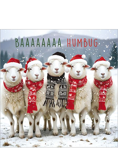 BAAAA Humbug! Christmas card