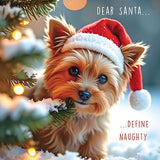 Define naughty... - funny Christmas card