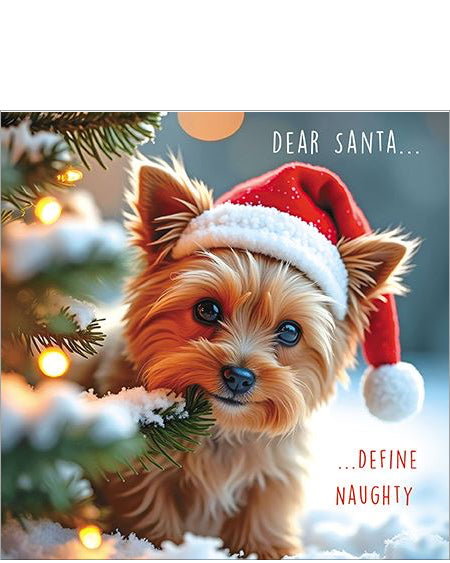 Define naughty... - funny Christmas card