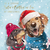 Sister and Brother-in-Law Christmas card