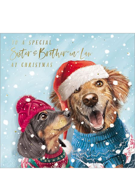 Sister and Brother-in-Law Christmas card