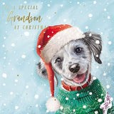 Grandson Christmas card