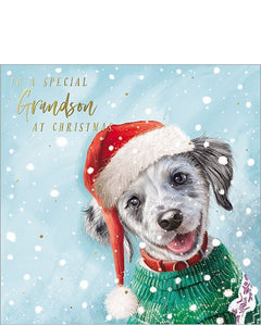 Grandson Christmas card
