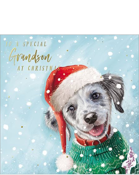 Grandson Christmas card
