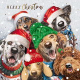 Merry Christmas card
