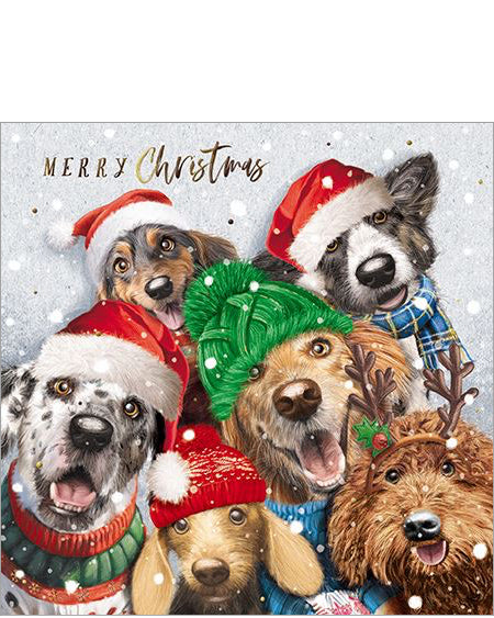 Merry Christmas card