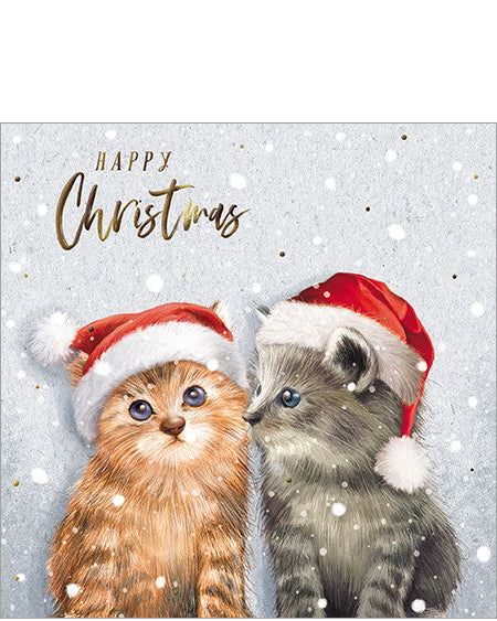 Meowy Christmas – cute Cat Christmas card for Pet Lovers