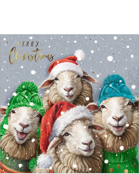 Merry Christmas to EWE - Christmas card