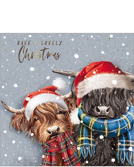 Highland Coos Christmas card