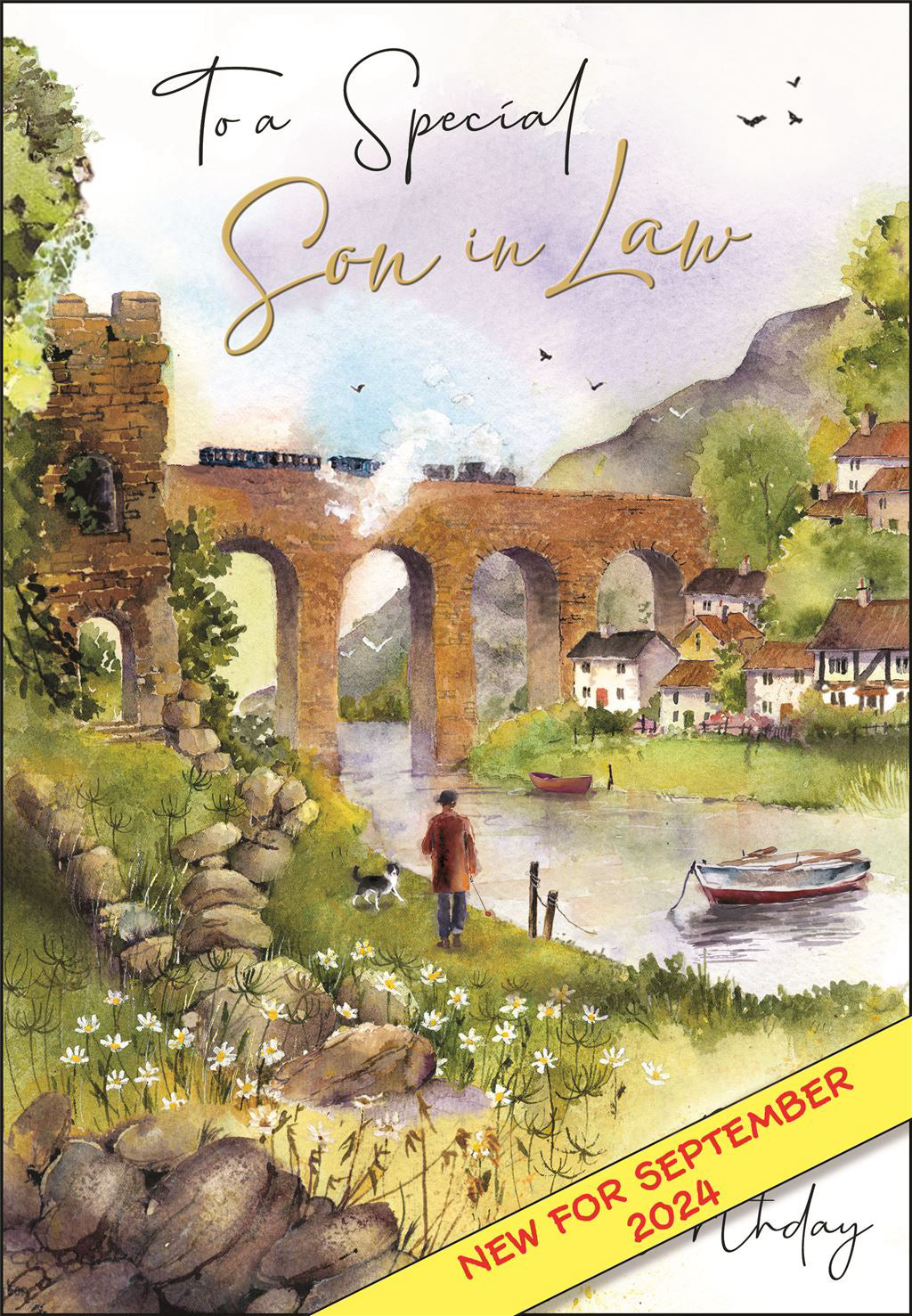 Son-in-Law Birthday card - Jonny Javelin