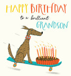 Brilliant Grandson - birthday card
