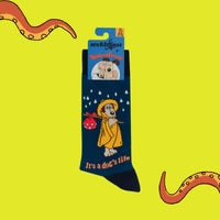 Socktopus wallace & Gromit it’s a dogs life (blue)size 9-12 - Adult - Socks