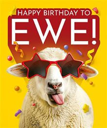 Happy Birthday To Ewe - funny blank card