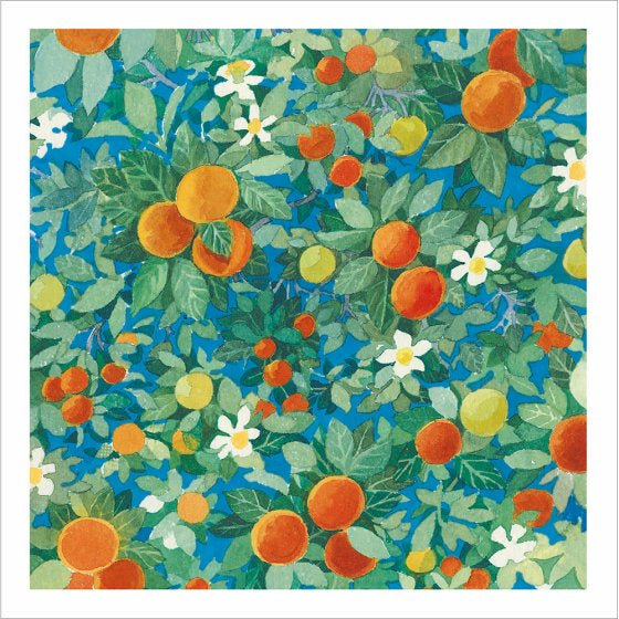 Citrus fruits  - blank greeting card