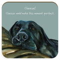 Little Dog Laughed Cheese - Coaster