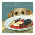 Little Dog Laughed Opportunist - Coaster