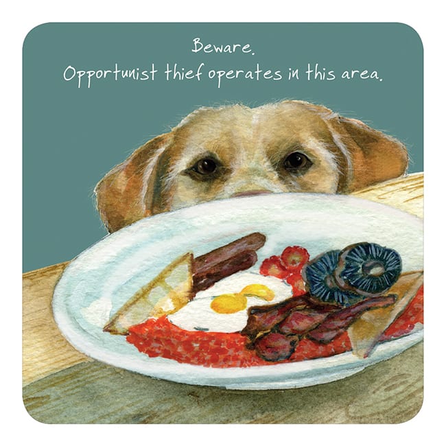 Little Dog Laughed Opportunist - Coaster