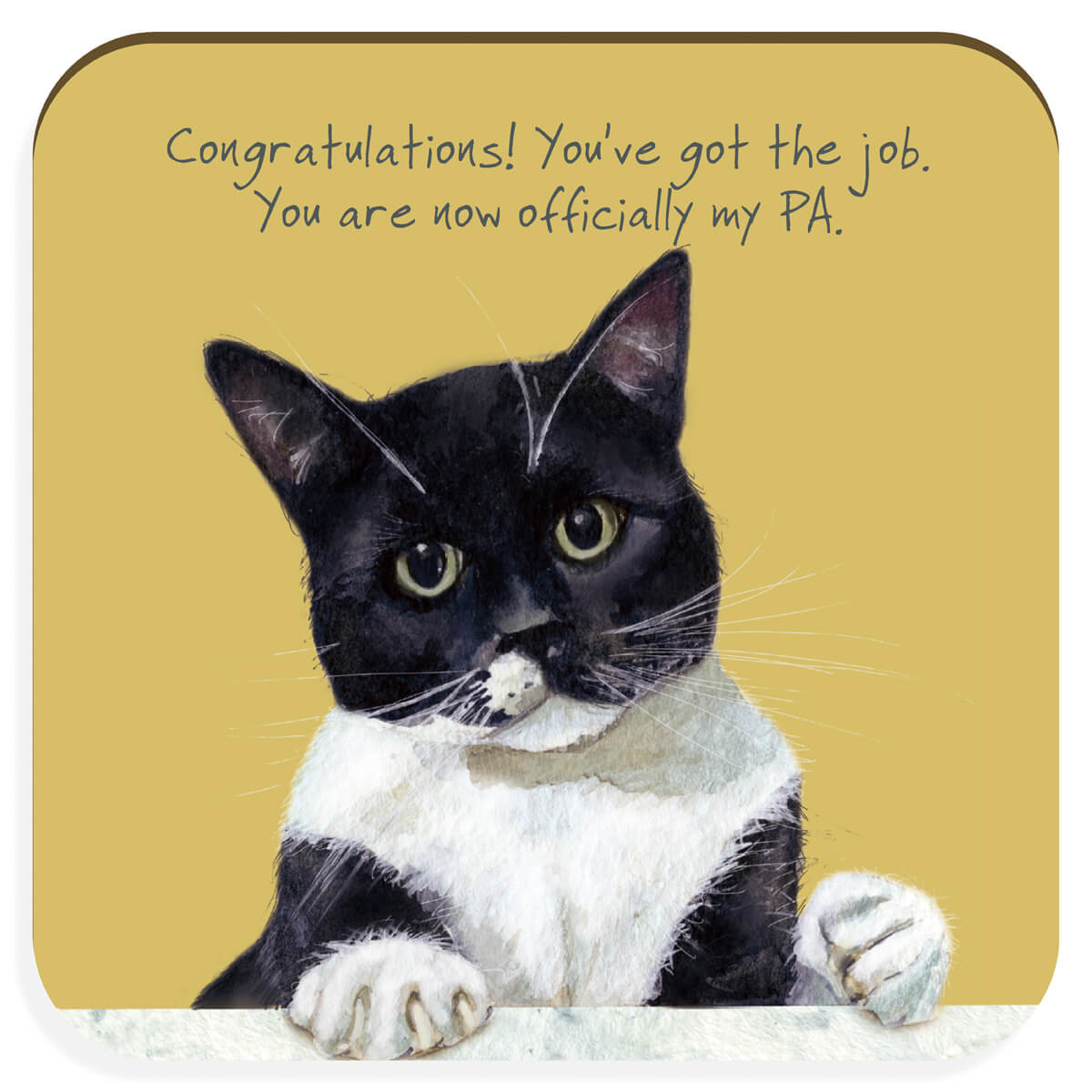 Little Dog Laughed PA Job - Coaster