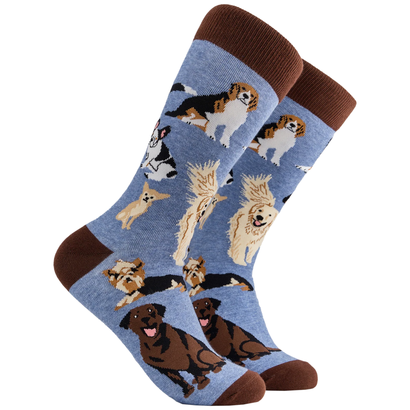 Socktopus adultsocks-Dog lover size 4-8