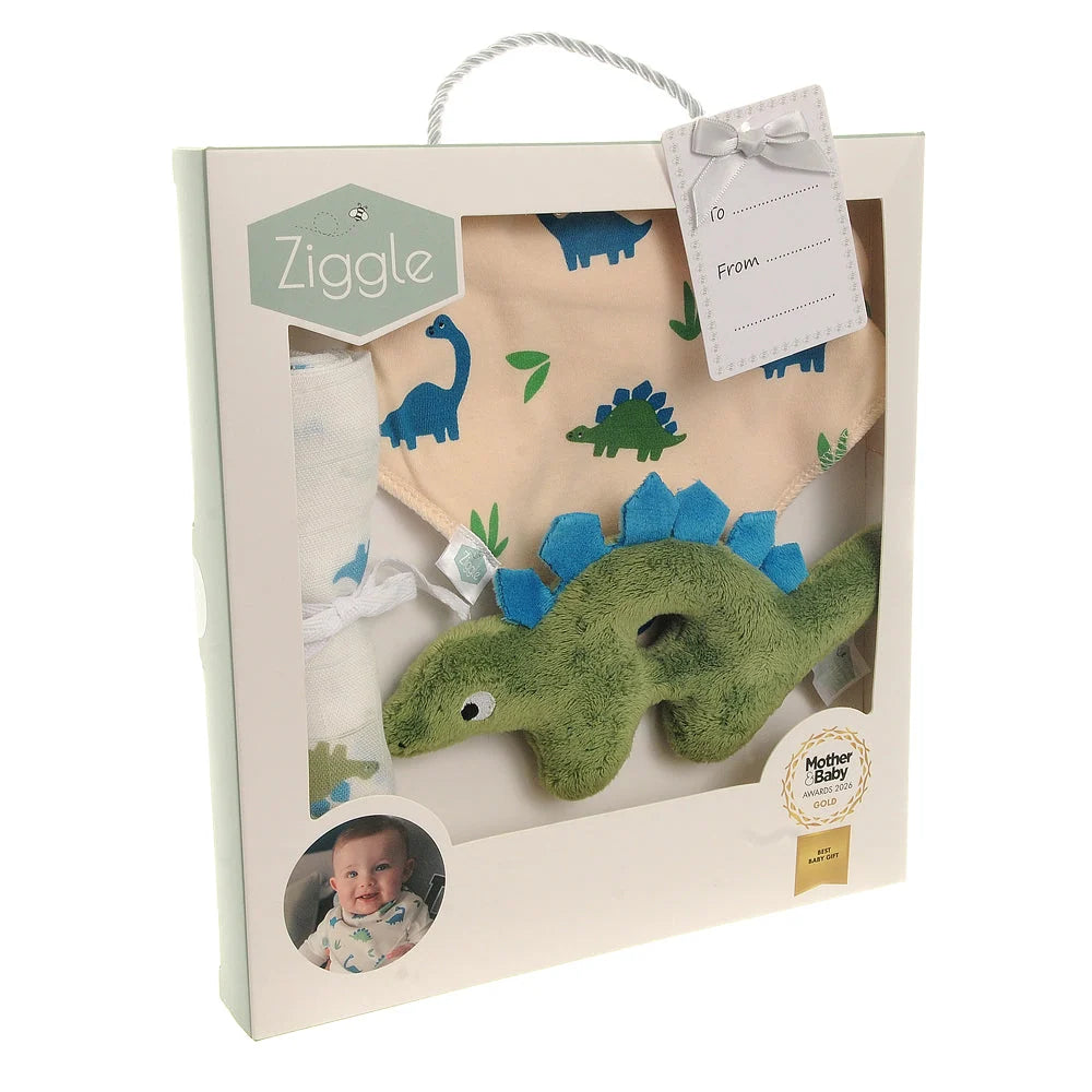 Ziggle gift set - Dino
