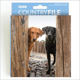 Dogs - Pack of 6 BBC Countryfile notelets