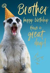 Brother - photographic birthday card