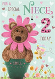 Special Niece - 2nd birthday card