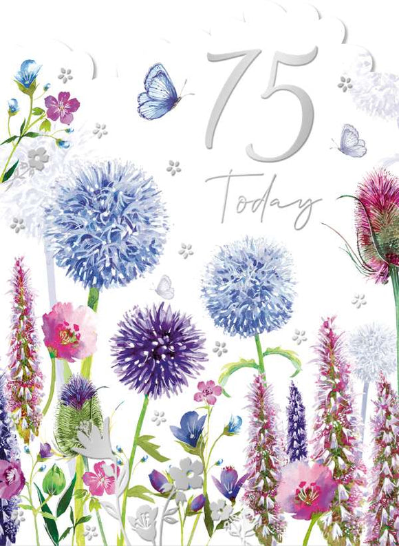 This classic 75th birthday card features beautiful wild flowers in warm blues and deep pinks, with  colorful and silver butterflies. The top edge is scalloped and the large 75 is silver, giving a sophisticated look. An elegant way to wish someone a happy 75th birthday!